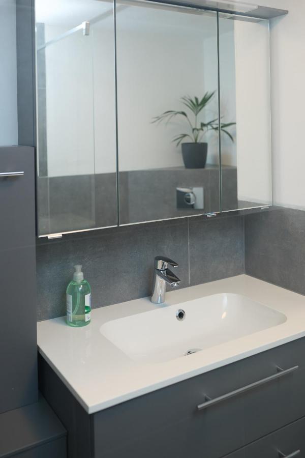 Ferienwohnung Endingen Am Kaiserstuhl Экстерьер фото